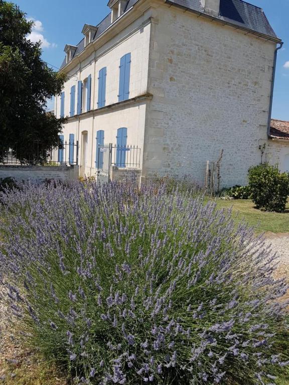 Tanzac Le Domaine De Bellevue B&B 외부 사진